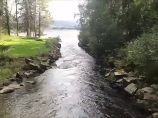 Nature Walk